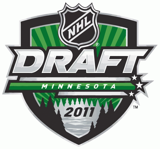 NHL Draft 2011 Primary Logo iron on heat transfer